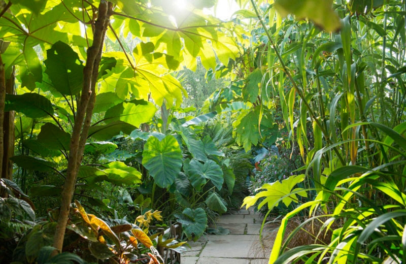 Great Dixter House, Gardens & Nurseries